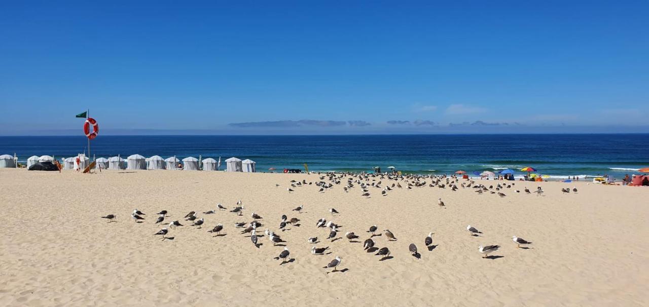 Casa Da Mata Villa Praia de Mira Buitenkant foto