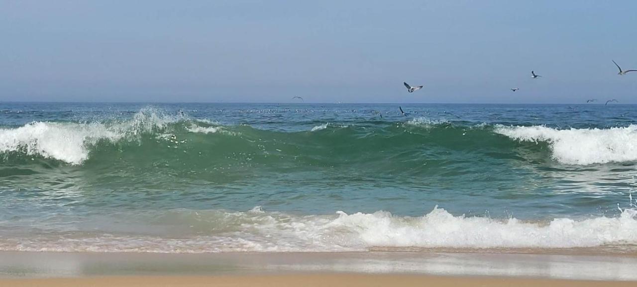 Casa Da Mata Villa Praia de Mira Buitenkant foto
