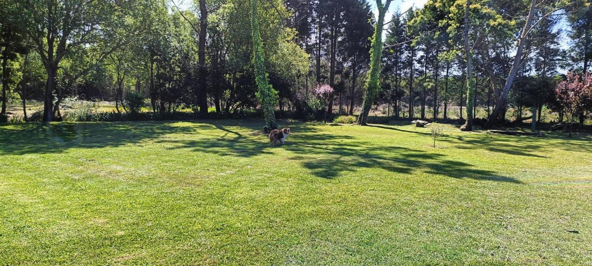 Casa Da Mata Villa Praia de Mira Buitenkant foto